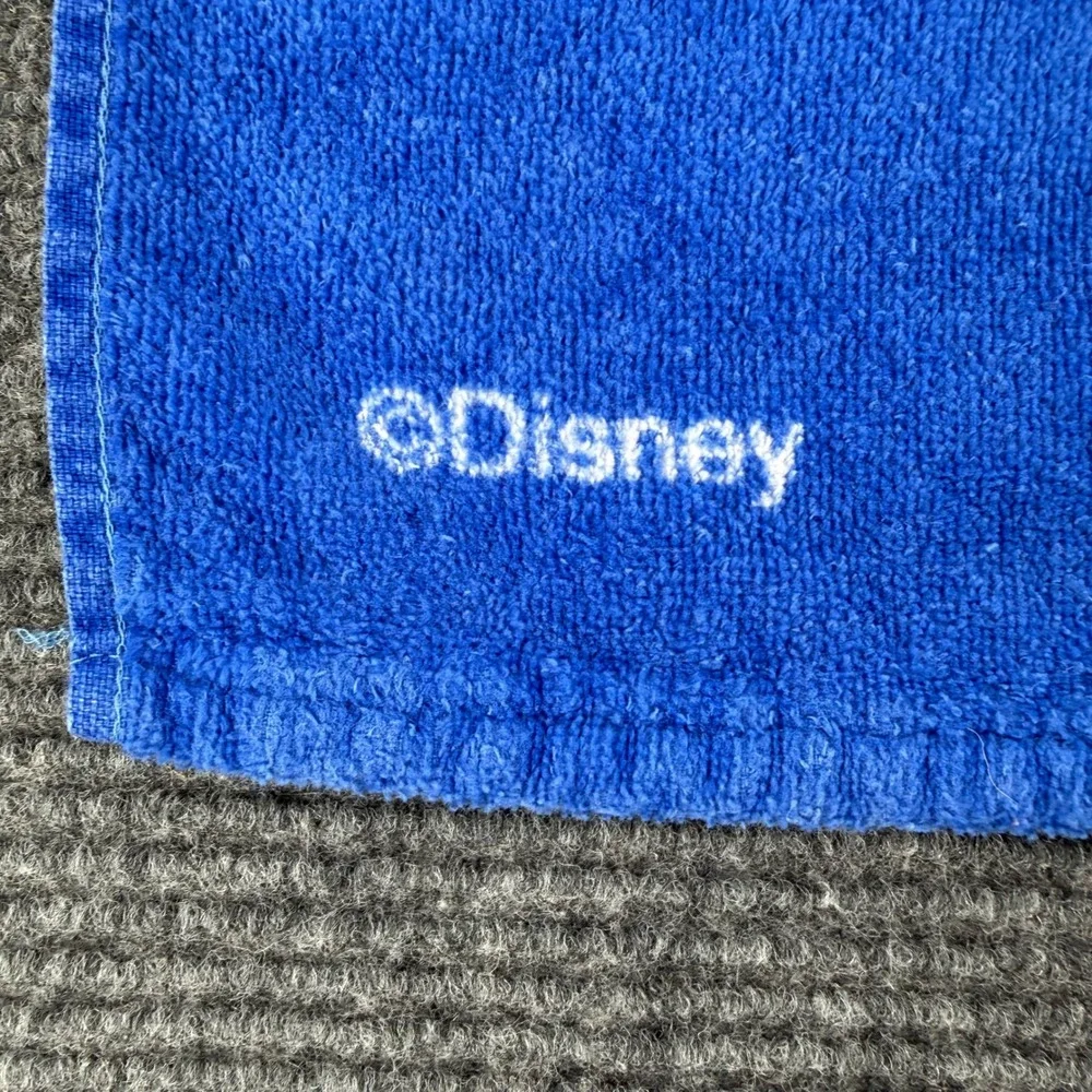Vintage Disney Splash Mountain Beach Towel Magic Kingdom Brer Rabbit Fox Bear